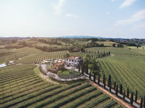 Discover Vineyard Bliss at Villa Armena, Buonconvento