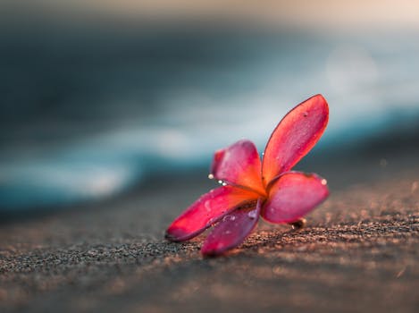 Escape Into Hawaiian Calm at Mauna Lani, Auberge Resorts Collection