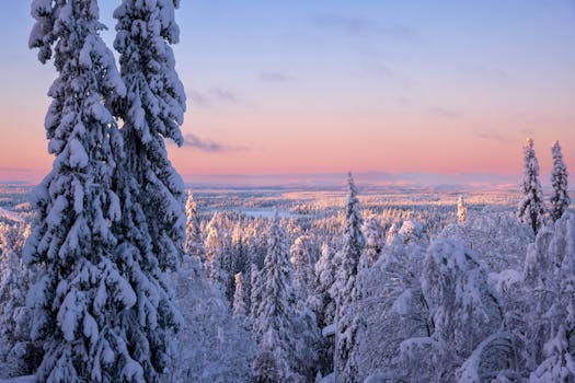 Sleep in Arctic Adventure at Wilderness Hotel Inari, Finland