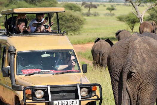 Witness Safari Adventure at Singita Serengeti House, Tanzania